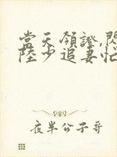 当天领证,闪婚陆少追妻忙