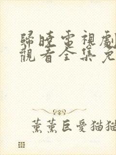 归晓电视剧在线观看全集免费高清封面