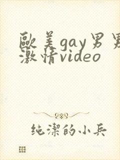 欧美gay男男激情video