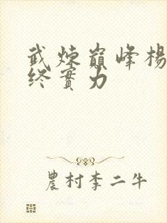 武炼巅峰杨开最终实力