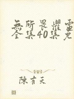 无所畏惧电视剧全集40集免费观看高清