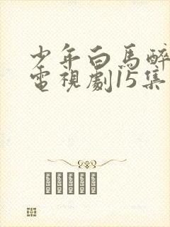 少年白马醉春风电视剧15集