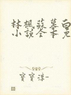 林枫苏慕白穿越小说全本免费阅读无弹窗