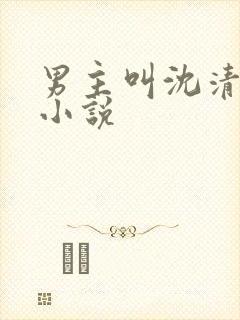 男主叫沈清辞的小说封面