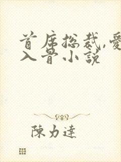 首席总裁,爱你入骨小说