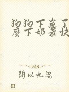 狗狗下崽了吃什么下奶最快