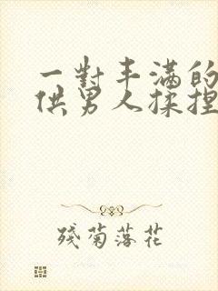 一对丰满的乳房供男人揉捏