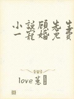 小说顾先生的第一宠婚免费