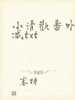 小清欢番外未删减txt
