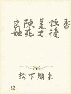 良陈美锦番外三她死之后