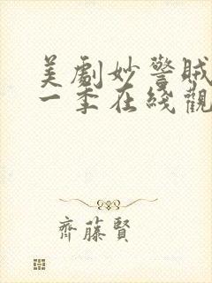 美剧妙警贼探第一季在线观看