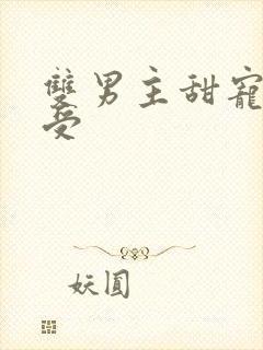 双男主甜宠娇气受封面