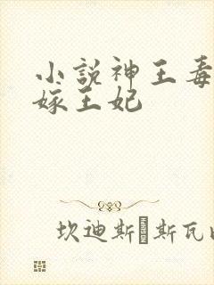 小说神王毒宠二嫁王妃