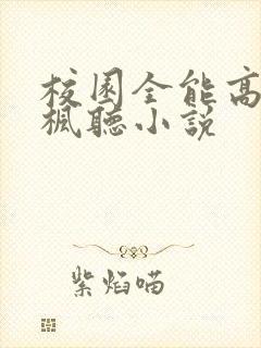 校园全能高手季枫听小说