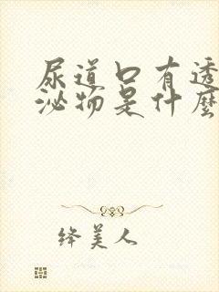 尿道口有透明分泌物是什么原因引起的