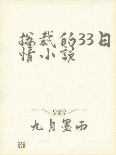 总裁的33日索情小说