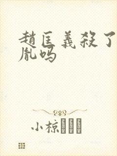 赵匡义杀了赵匡胤吗