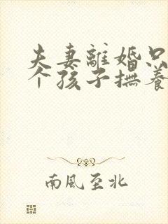 夫妻离婚只有一个孩子抚养权怎么判定