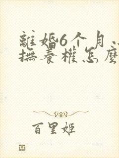 离婚6个月小孩抚养权怎么判定