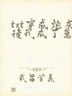 txt穿成炮灰后我成了万人迷