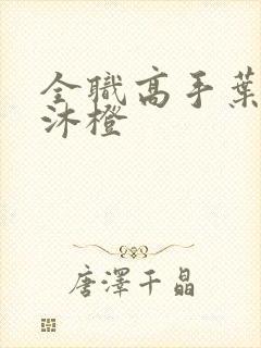 全职高手叶修苏沐橙