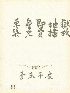 单身即地狱4全集免费播放封面