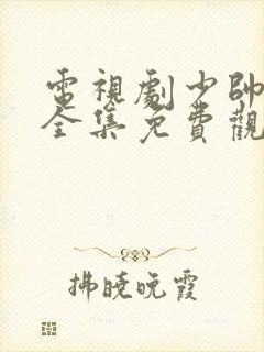 电视剧少帅48全集免费观看大陆封面