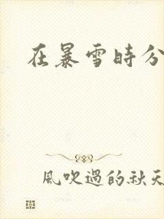 在暴雪时分全本
