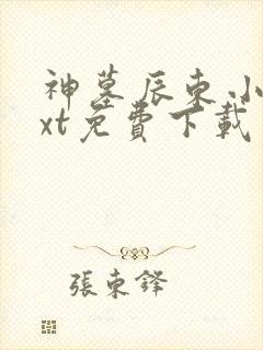 神墓辰东小说txt免费下载