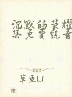 沉默的荣耀40集免费观看全集