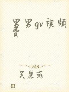 男男gv视频免费