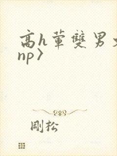高h荤双男文〈np〉