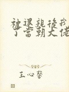 被退亲后我嫁给了当朝大佬 小说