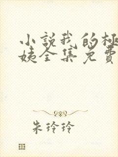 小说我的极品小姨全集免费