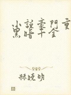 小说豪门重生之黑暗千金