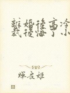 离婚后高冷女总裁后悔了小说免费