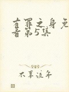 有罪之身免费观看第5集封面