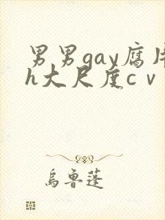 男男gay腐片h大尺度cⅴ小蓝封面