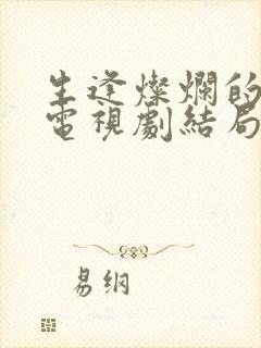 生逢灿烂的日子电视剧结局