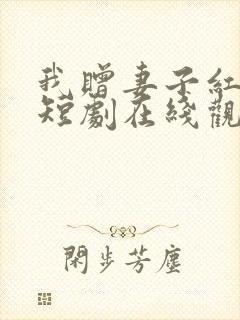 我赠妻子红缨枪短剧在线观看