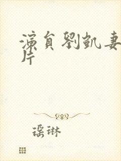 演员刘凯妻子照片