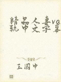 精品人妻va出轨中文字幕
