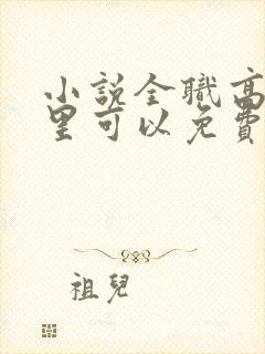 小说全职高手哪里可以免费阅读封面