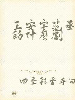 王安宇范丞丞演的什么剧封面