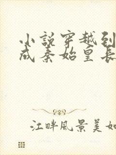 小说穿越到秦朝成秦始皇长子