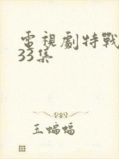 电视剧特战荣耀33集