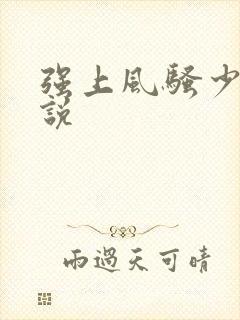 强上风骚少妇小说