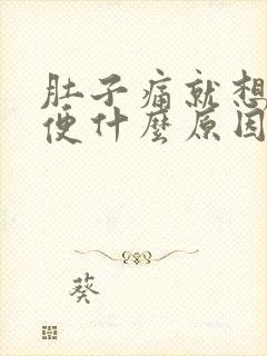 肚子痛就想拉大便什么原因