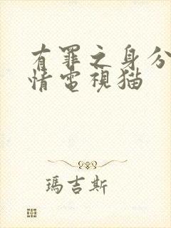 有罪之身分集剧情电视猫