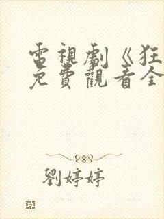 电视剧《狂飙》免费观看全集